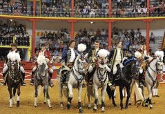 Imagens da corrida na Nazaré  13-09-2014